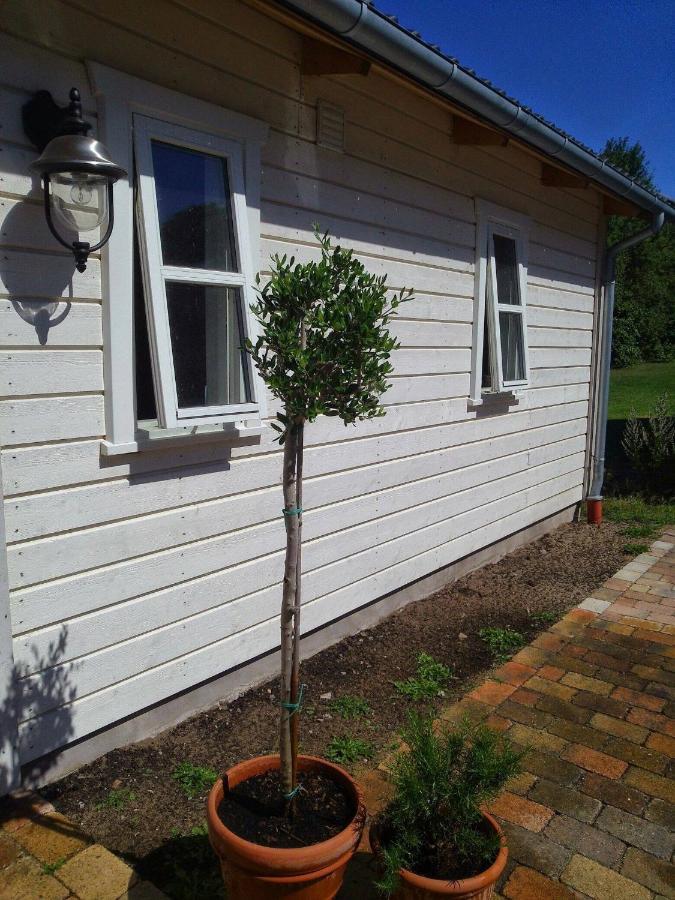 Lavendelbo B&B Hjallerup Dış mekan fotoğraf
